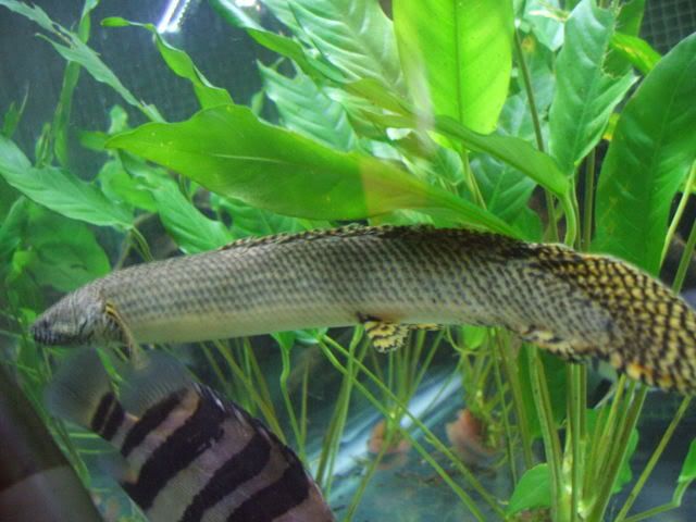 DSCF2592.jpg