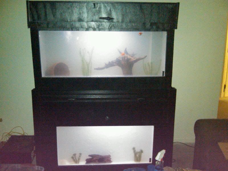 IMG00093-20100428-0118.jpg