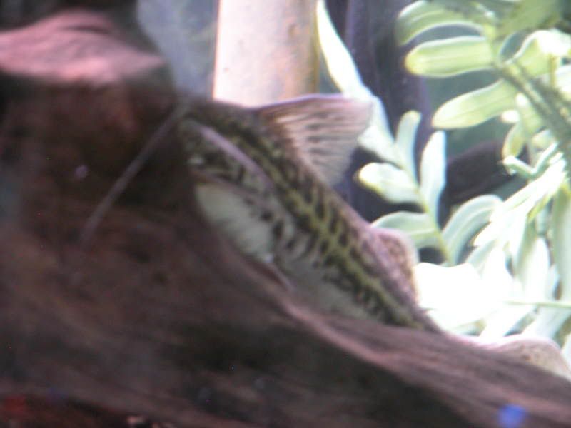 DSCN1081.jpg
