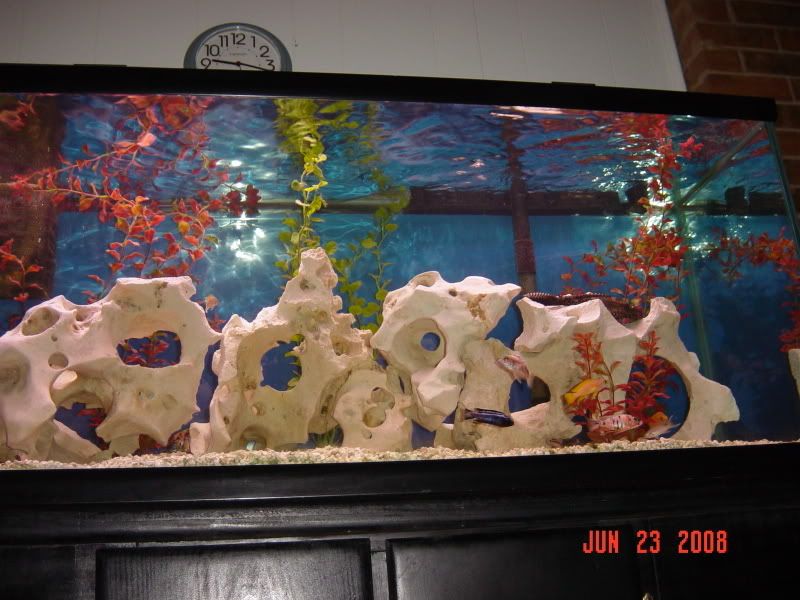 DSC00110.jpg
