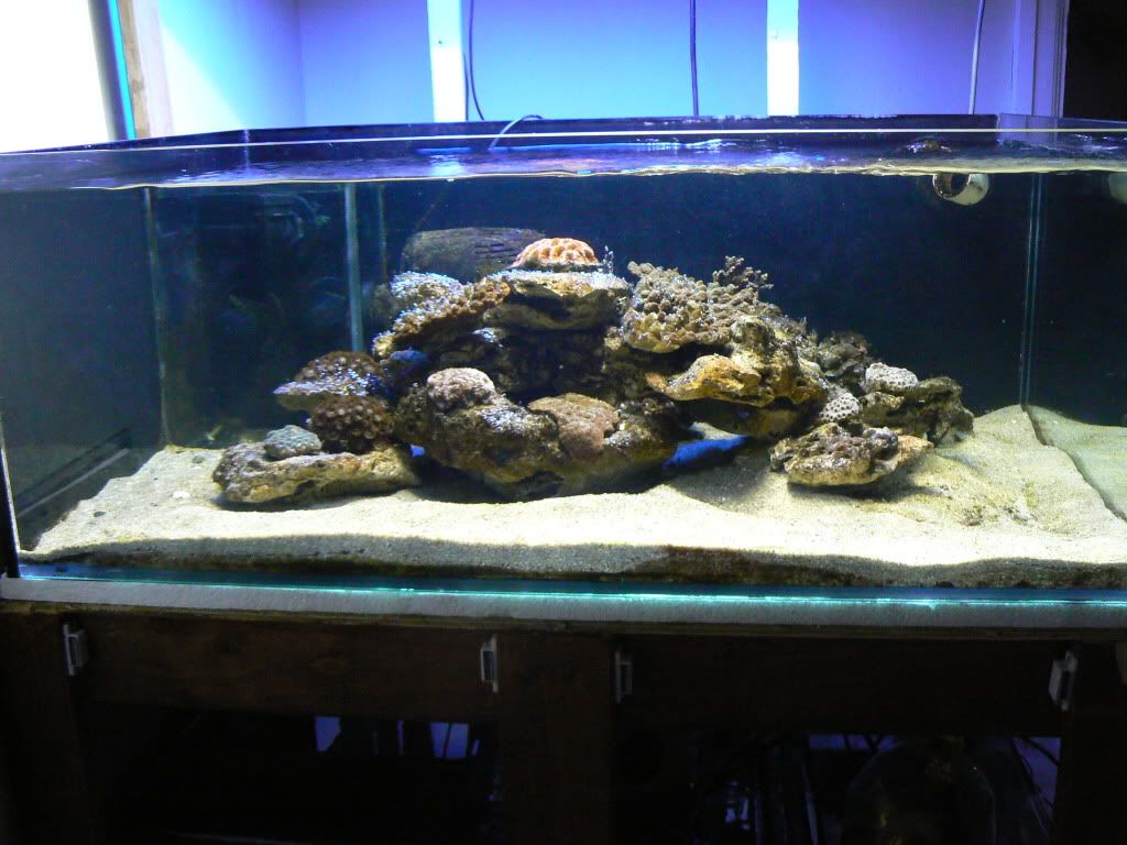 P1050143.jpg