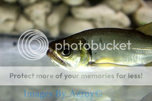 IMG_5683.jpg