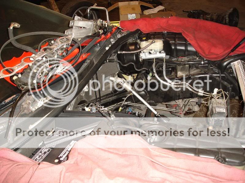 Vette081.jpg