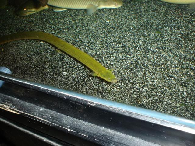 DSC08036.jpg