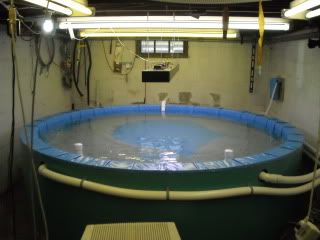 DSCN0118.jpg