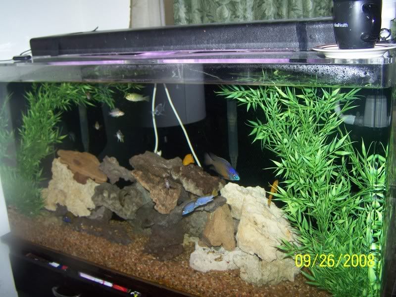 100_1224.jpg