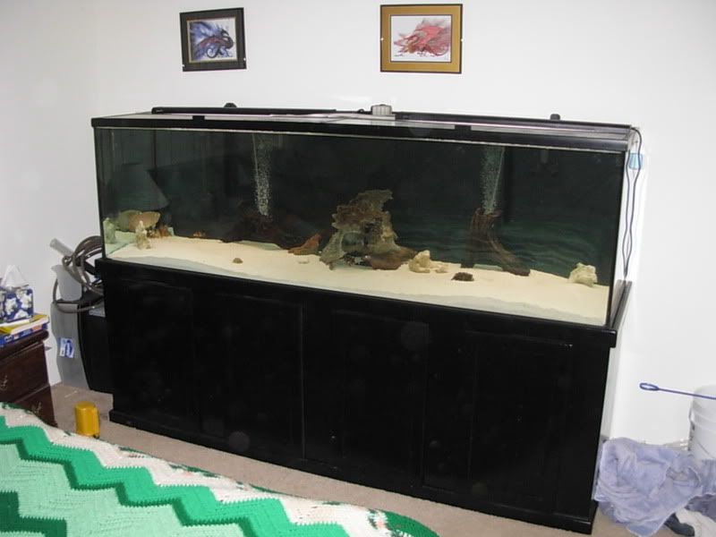 DSCN1304.jpg