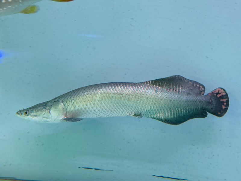 fishworld-aquarium.com