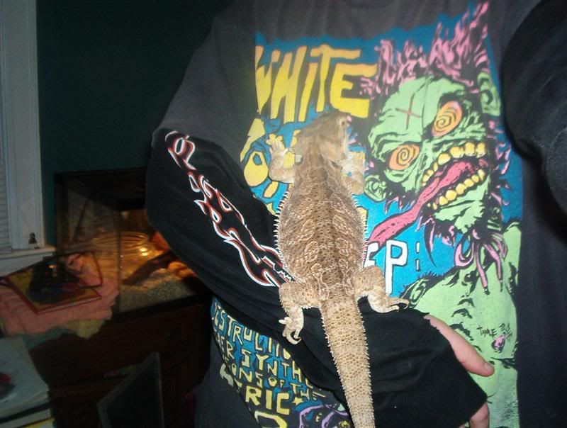 ozzy004Medium.jpg