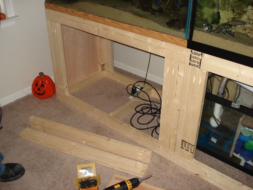 DSC01971.jpg