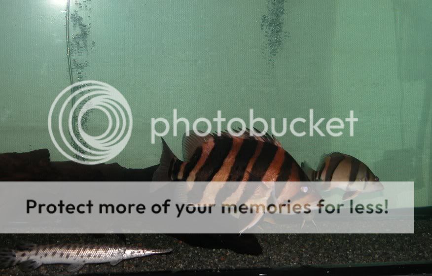 d8.jpg