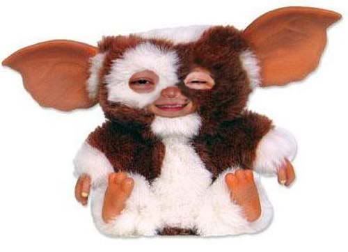 gizneo.jpg