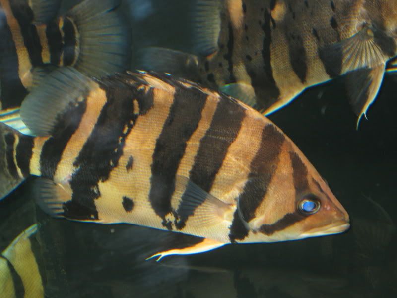 4-20-09012.jpg