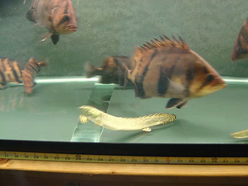 6-24-08053.jpg