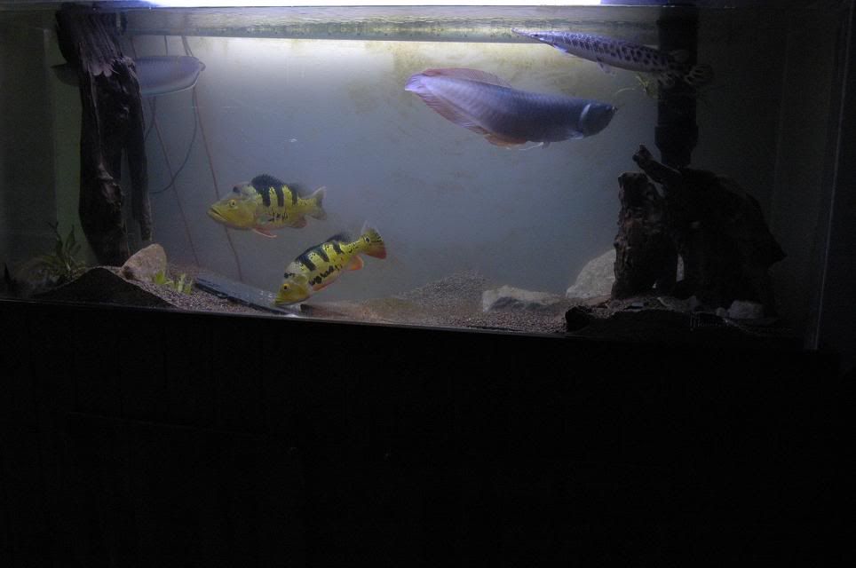 DSC_9697.jpg