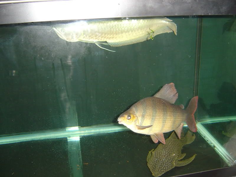 9-22-08026.jpg