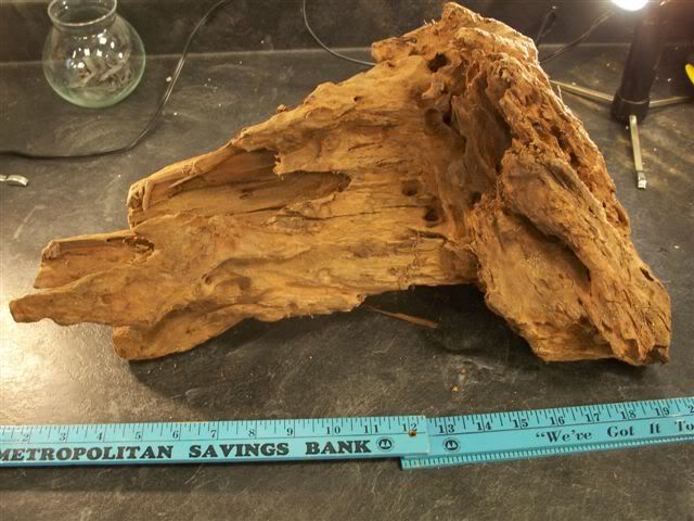 driftwood2.jpg