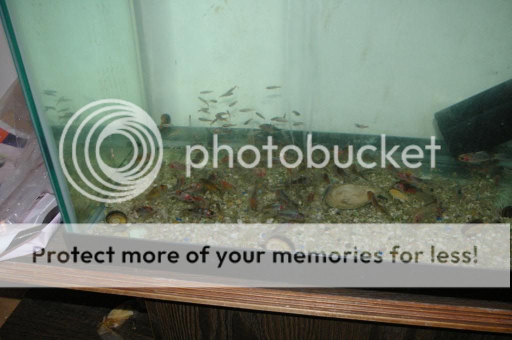 IMGP3948.jpg