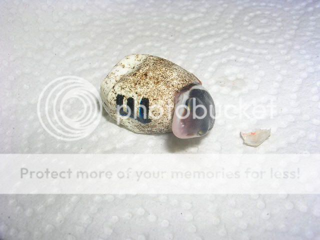 DSCN4931.jpg