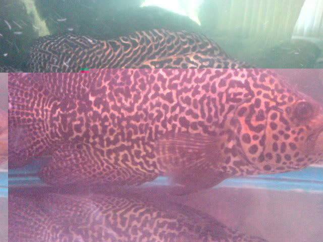 DSC01051.jpg