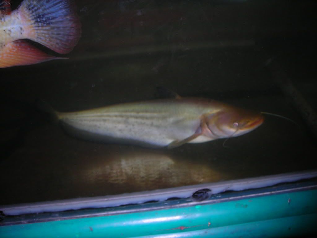 DSCN1866-1.jpg