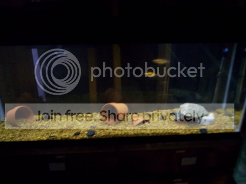 100_3238.jpg