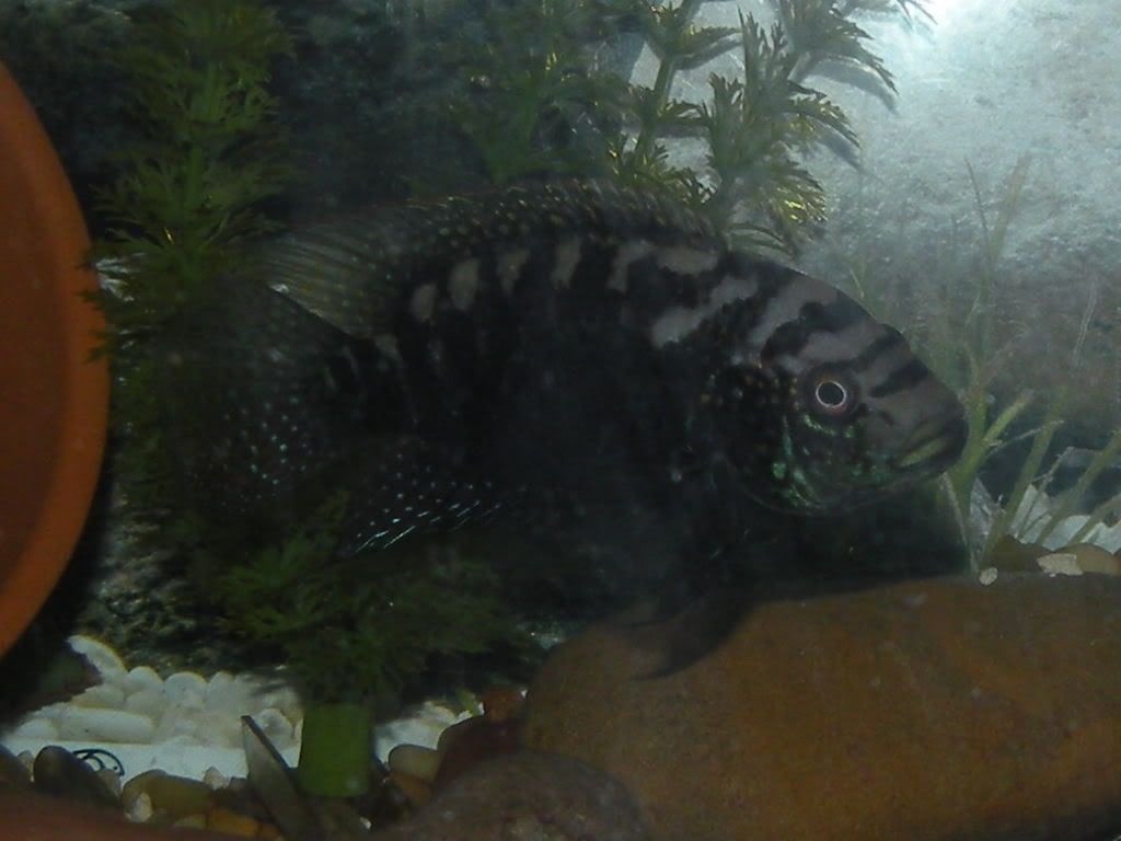 RSCN0835.jpg