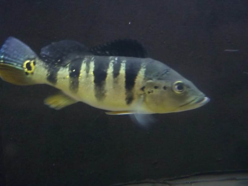 100_4596.jpg