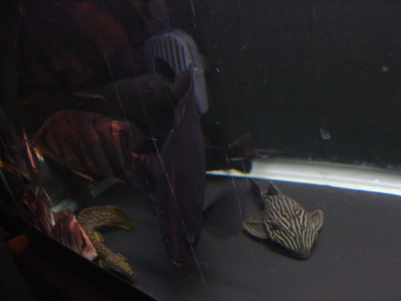 2-25-2008022.jpg
