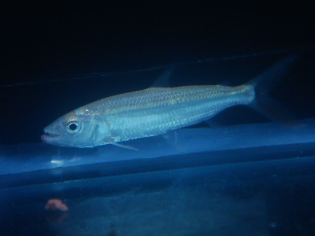 DSC02435.jpg