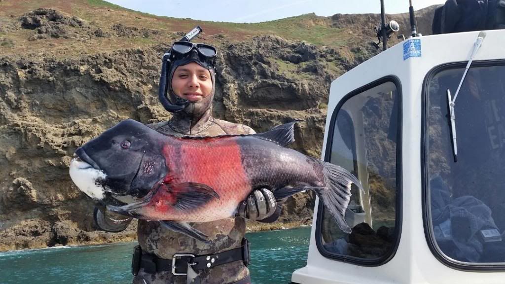 Sheephead1_zpsfae3b43e.jpg