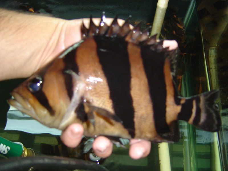 9-22-08011.jpg