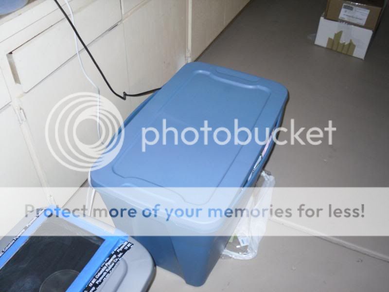 SDC10374.jpg