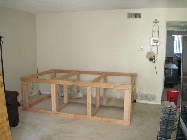 IMG_1300.jpg