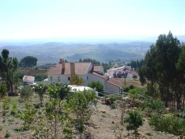 DSC08527.jpg