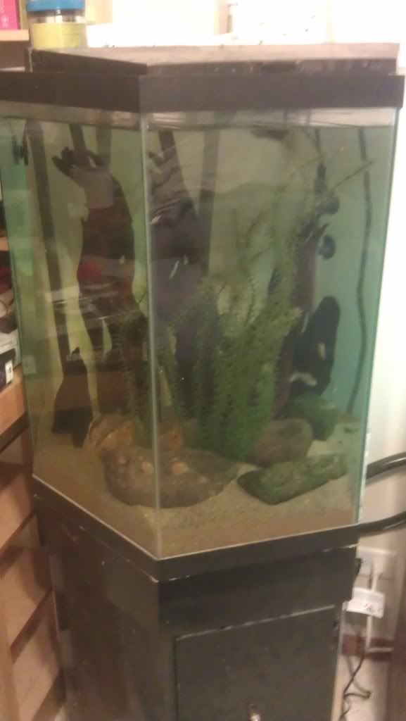IMAG0174.jpg
