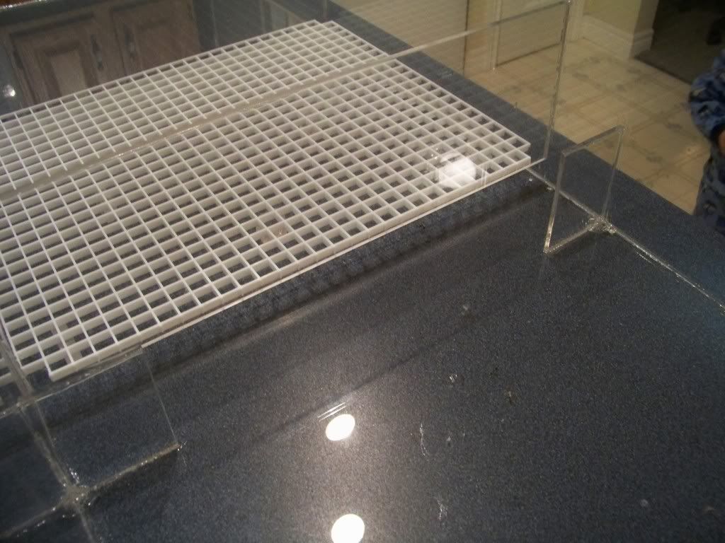 100_6820.jpg