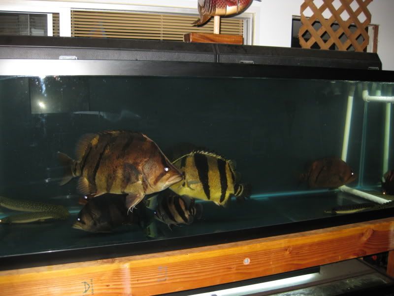 4-19-09019.jpg