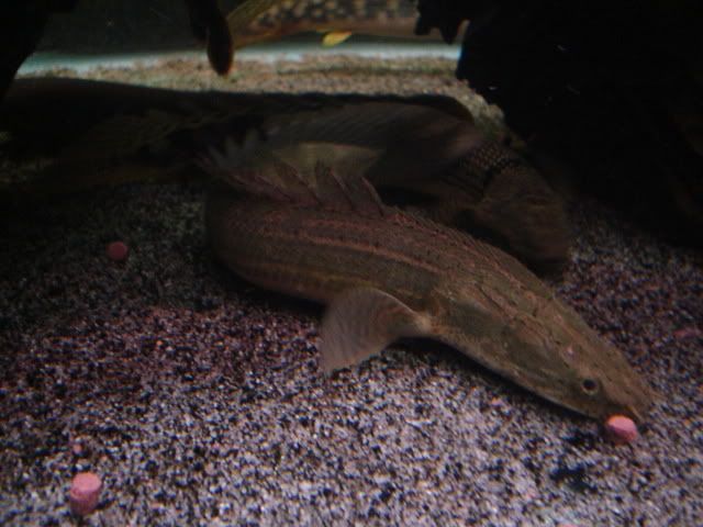 DSC08730.jpg