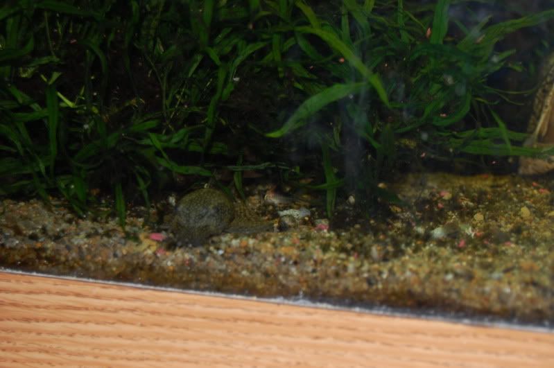 DSC_1204.jpg