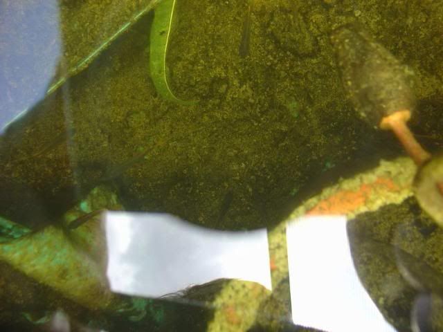 DSC04125.jpg