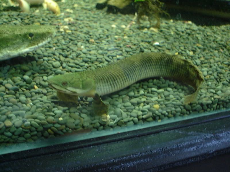 DSC09023.jpg