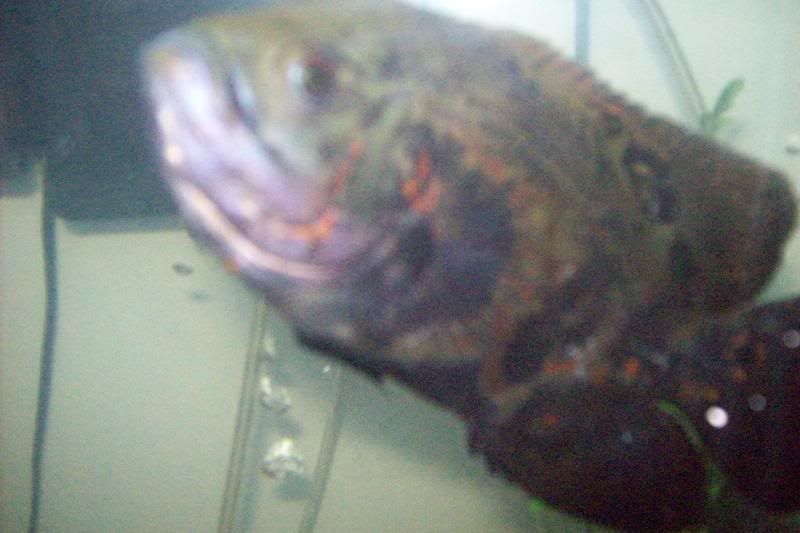 019.jpg