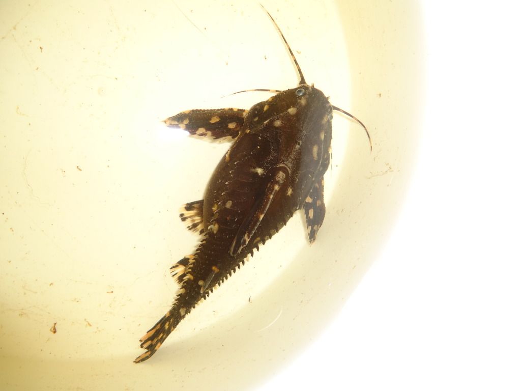DSC07604.jpg