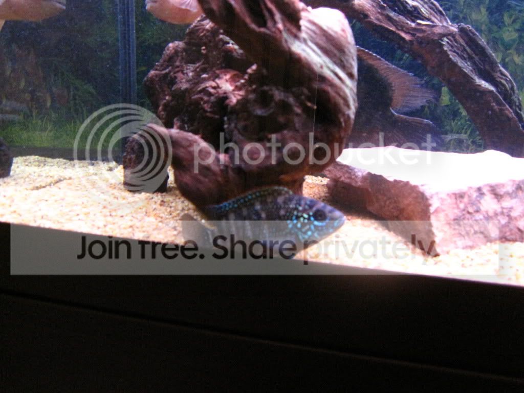IMG_6841.jpg