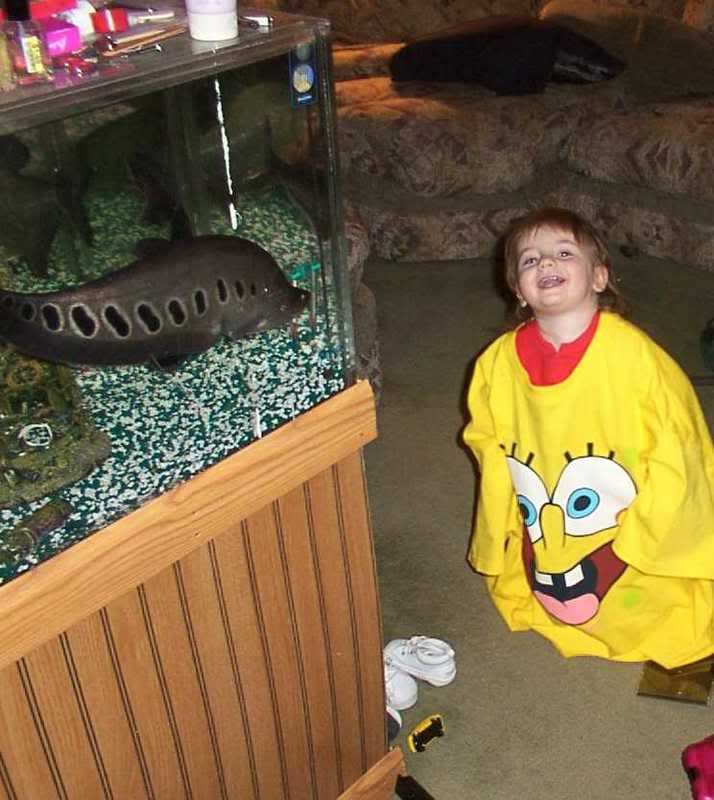 Holey1.jpg