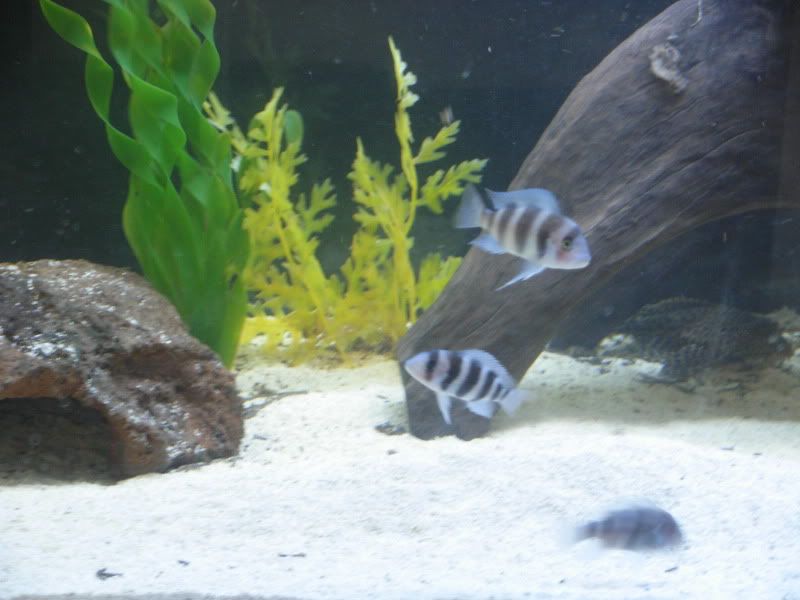 DSCN2580.jpg