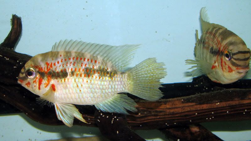 5b1d5e87.jpg