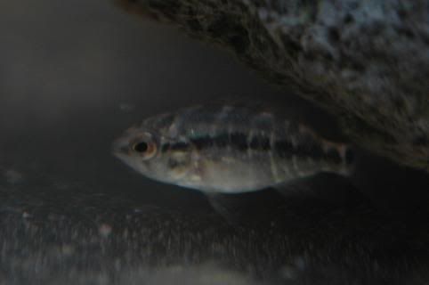 DSC_4521.jpg