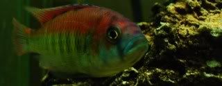 DSC06812.jpg